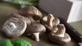 关于蘑菇“富含重金属”的五个谣言