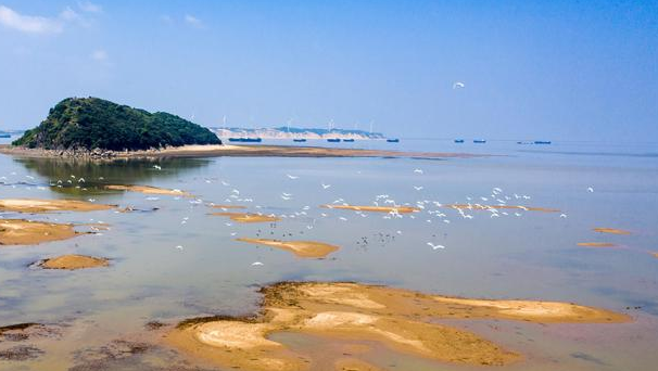 江西鄱阳湖水位一个月下降近5米