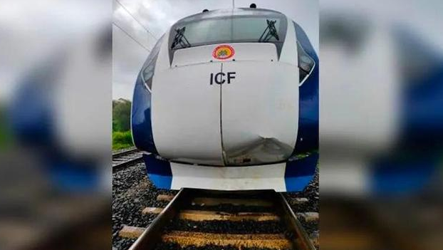 印度新版“半高铁”列车，撞了多头牛……