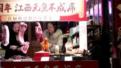 春节消费市场大揭秘 “上门代厨”成新潮流 家政服务火热
